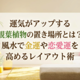 運気がアップする観葉植物の置き場所とは？風水で金運や恋愛運を高めるレイアウト術