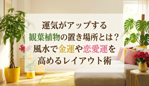 運気がアップする観葉植物の置き場所とは？風水で金運や恋愛運を高めるレイアウト術